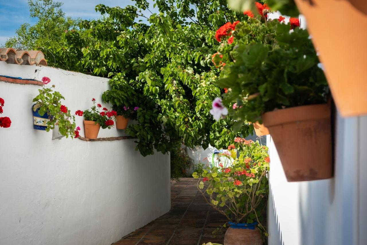 Hostal Cabo Roche 콘일데라프론테라 외부 사진